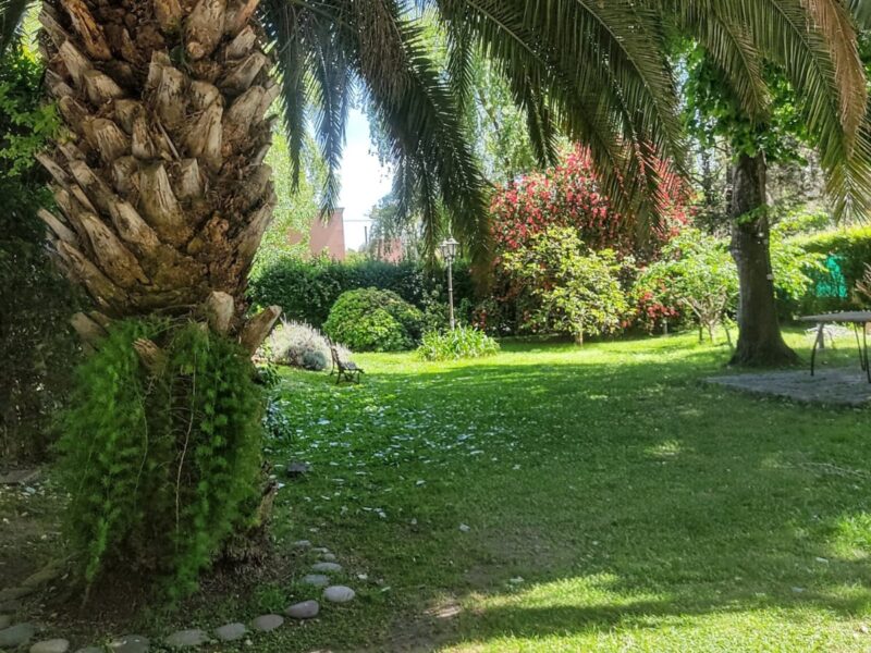 Casa en Venta - 425 entre 135 y 136, Villa Elisa