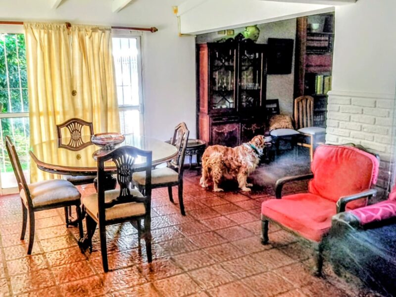 Casa en Venta - 425 entre 135 y 136, Villa Elisa