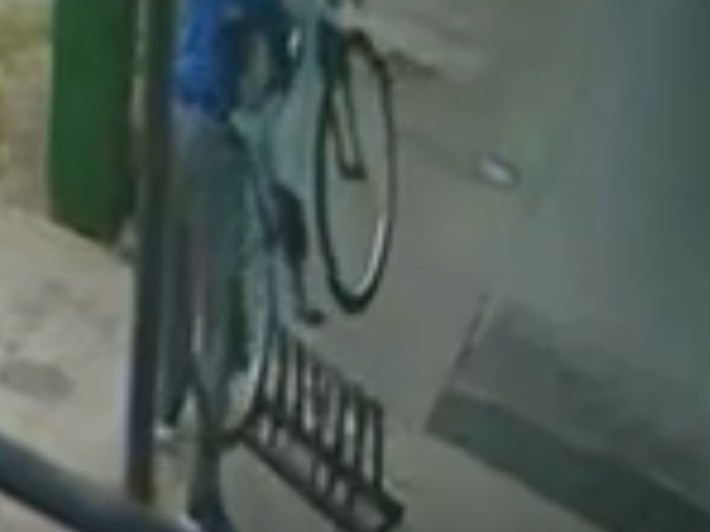 Ladrón . Bici robada 13 hs ruta 11e/ 97y 98